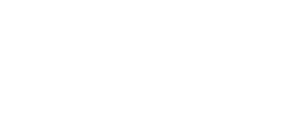 eeever-logo