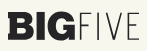 bigfive-logo